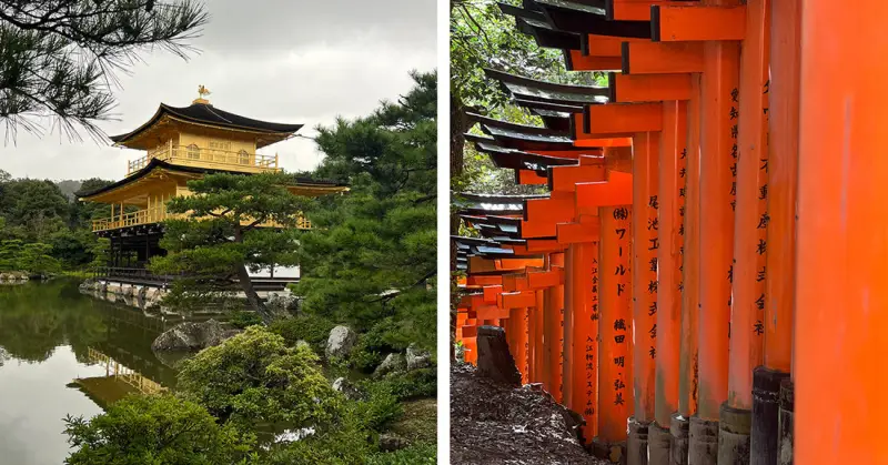 京都旅拍日记 - 吃瓜网